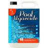 Homefront Pool and Hot Tub Algae Remover 1/5L